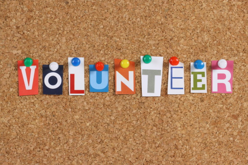 Nonprofit Volunteer