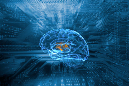 Human brain and circuit board, illustration.