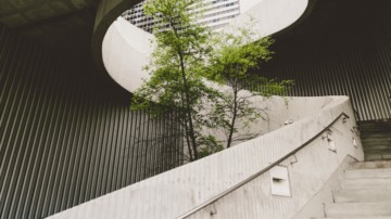 Tree in the middle of a open-air staircase.