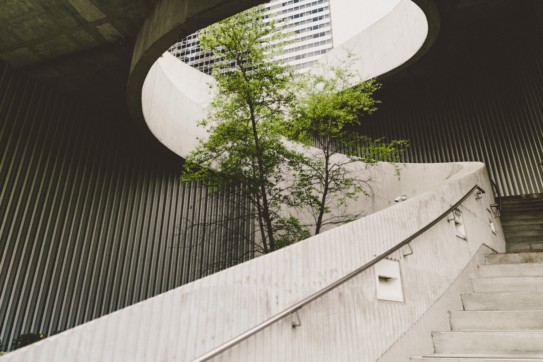 Tree in the middle of a open-air staircase.