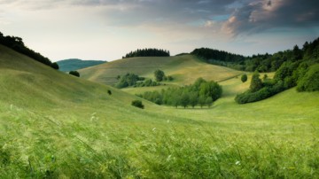 Wide shot of a lush green landscape.