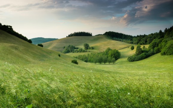 Wide shot of a lush green landscape.