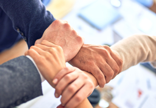 team members holding hands