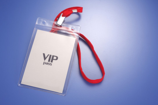 VIP Volunteer Experiences